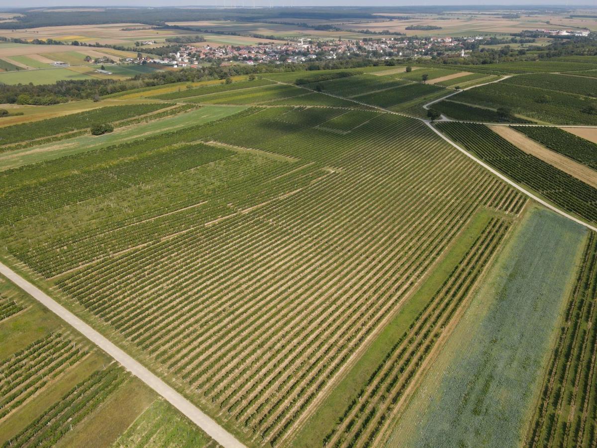 Pension Schloegl Lutzmannsburg Esterno foto